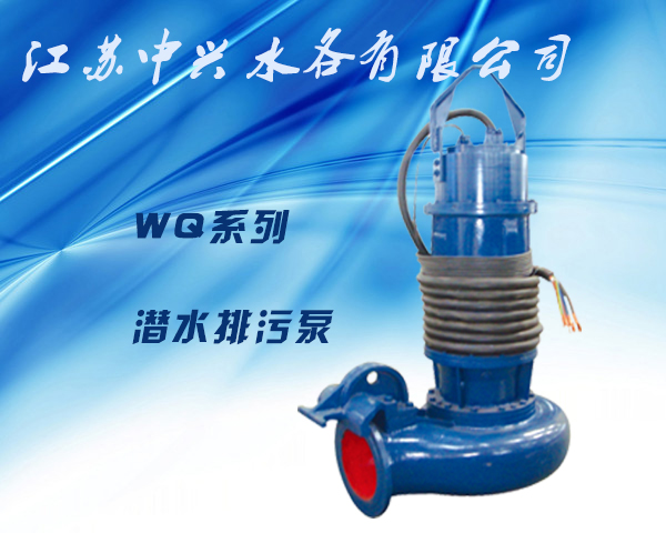 如何維護(hù)與保養(yǎng)潛水排污泵 ?